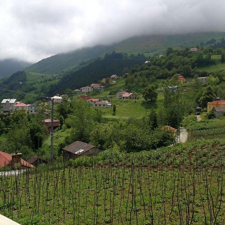 Hamsikoy Hotel Kültér fotó